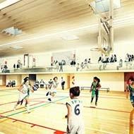 HALLE DES SPORTS  DU COLLÈGE JL TRINTIGNANT